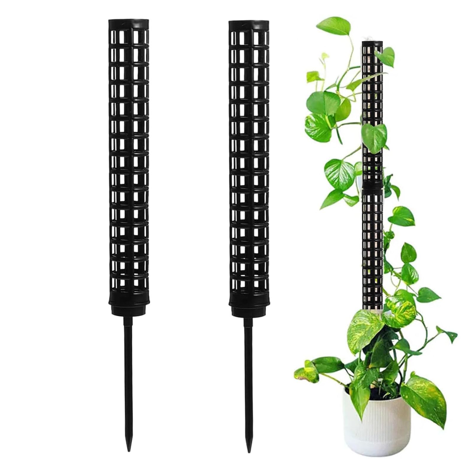 ねこの登り棒 観葉植物用支柱セット モスポール 園芸用 Amazon | モスポール支柱 モンステラ用 観葉植物 サポート 園芸支柱
